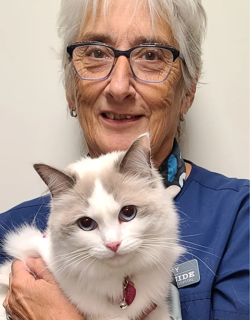 Beccy Yaron Riverside Small Animal Hospital